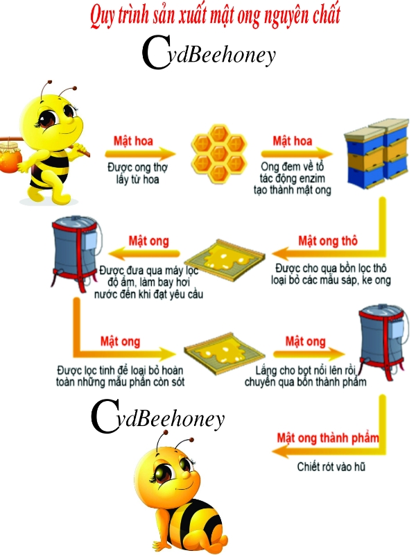 Mật Ong Hoa Vải 1000ml (1400g) Cvdbeehoney